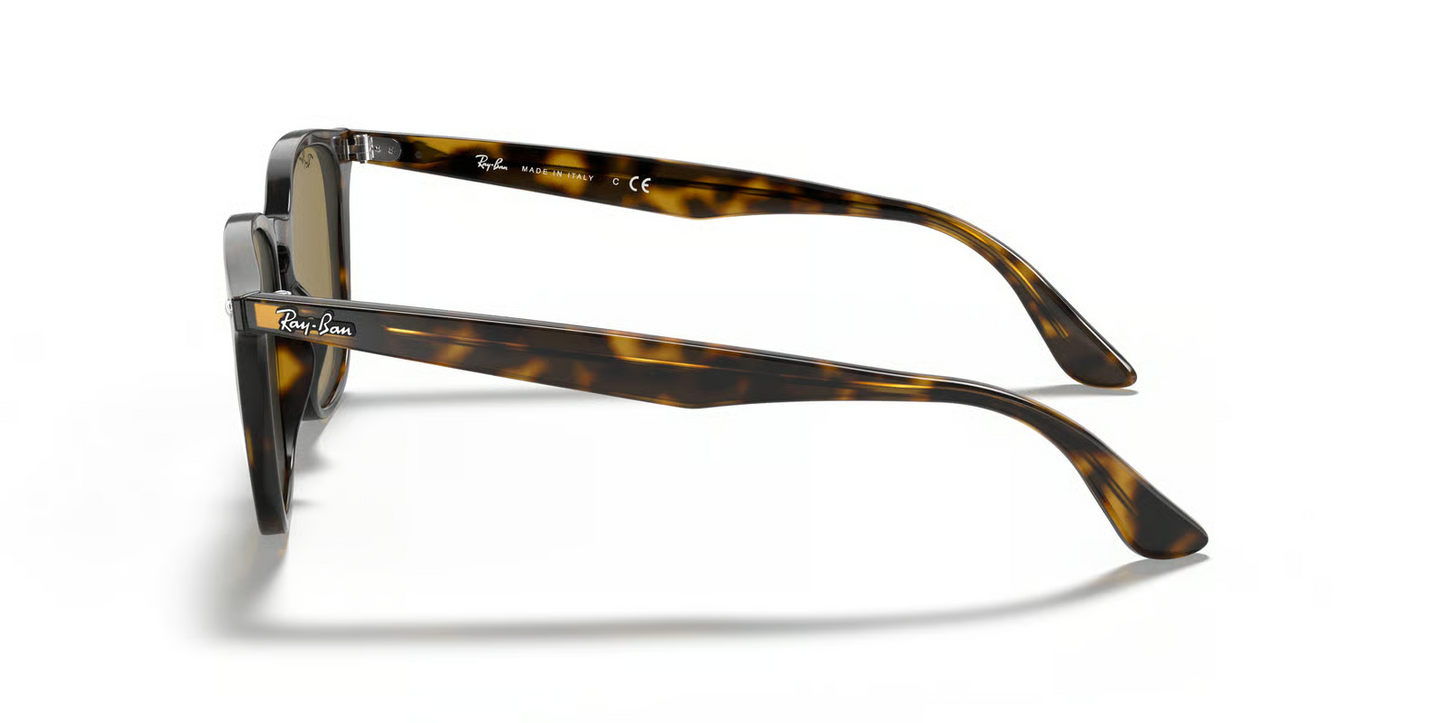 Ray-Ban RB4258F Sunglasses