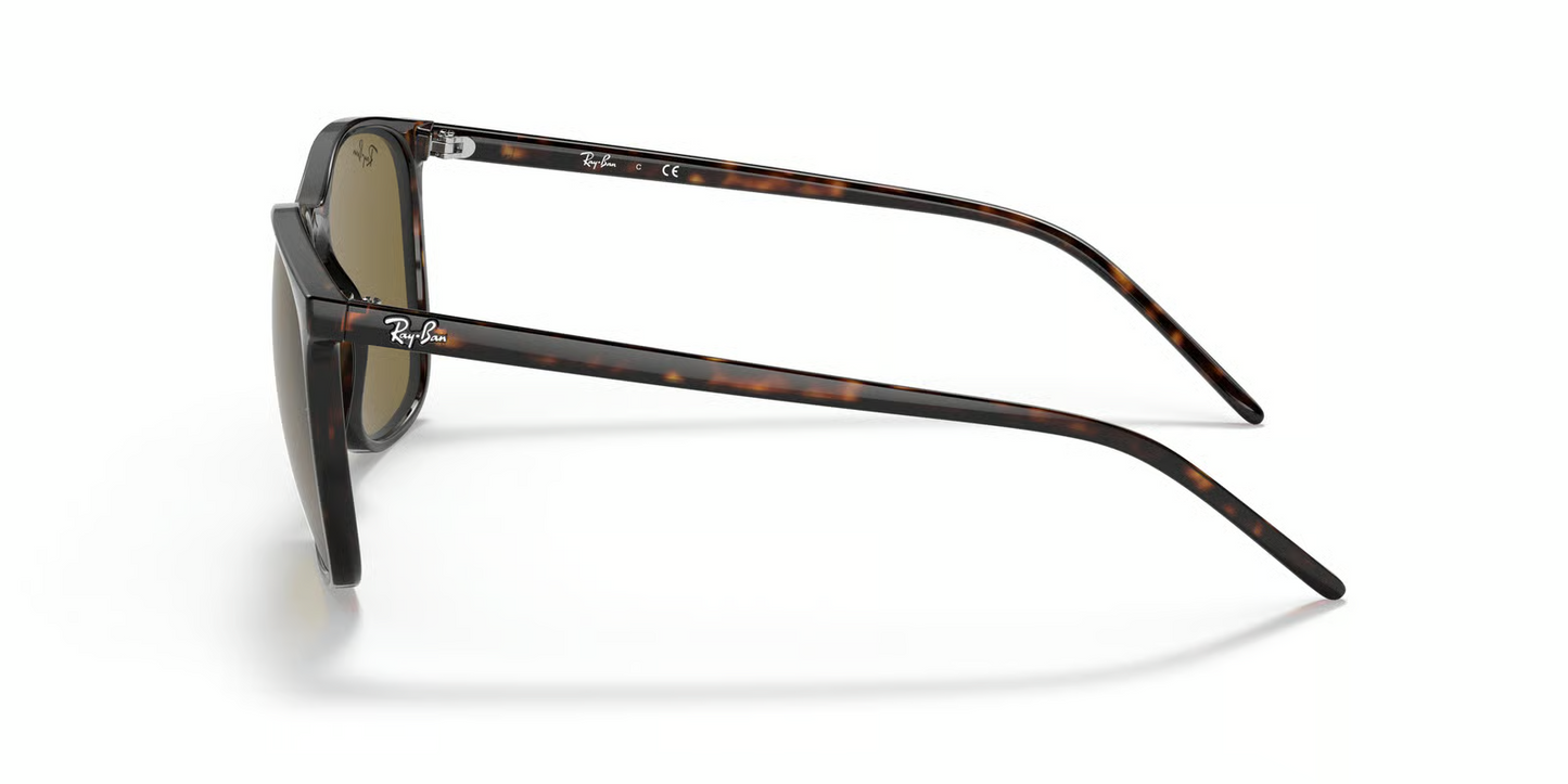 Ray-Ban RB4387F Sunglasses
