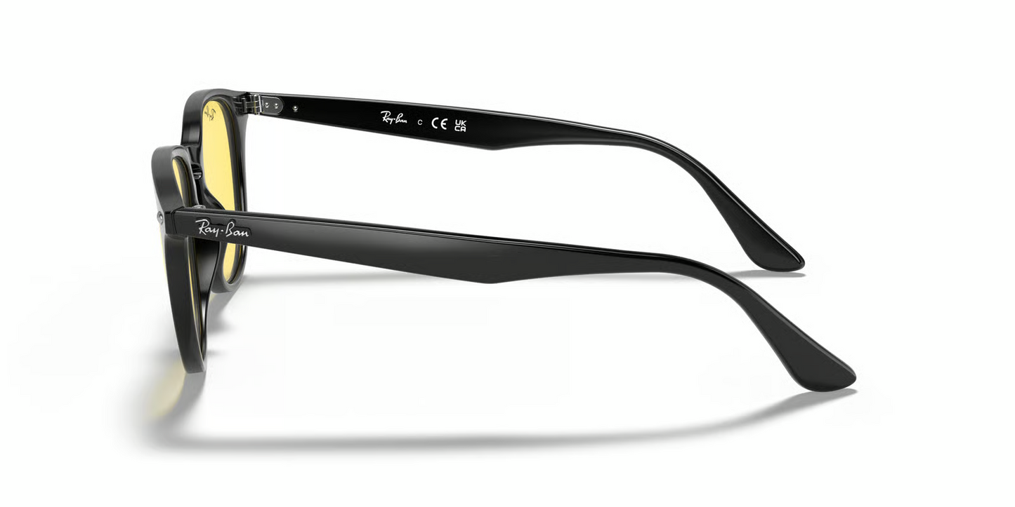Ray-Ban RB4259F Sunglasses