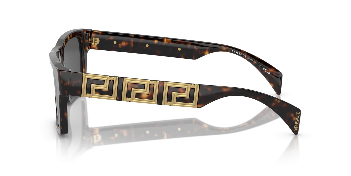 Versace VE4445 Sunglasses