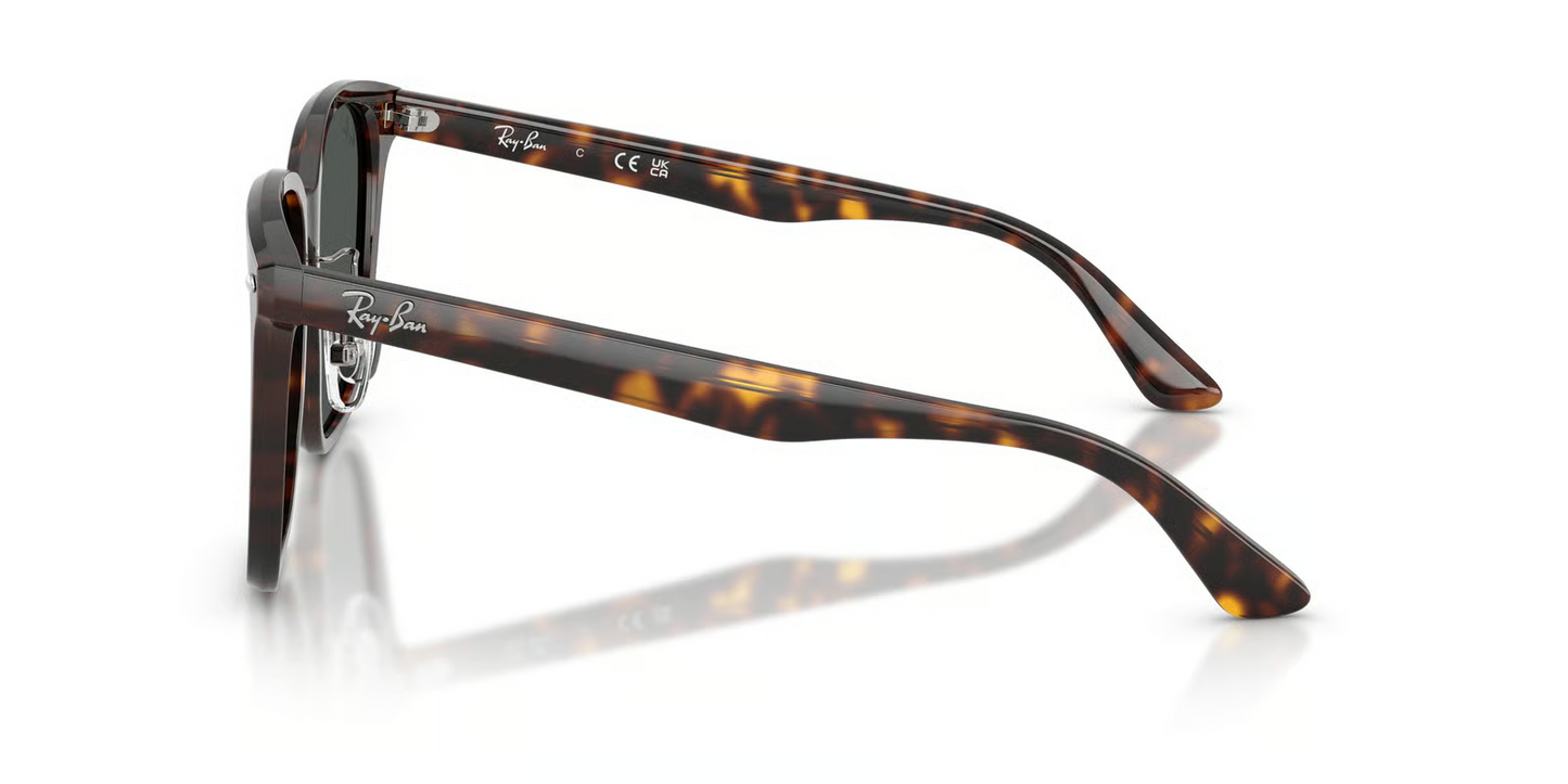 Ray-Ban RB2206D Sunglasses
