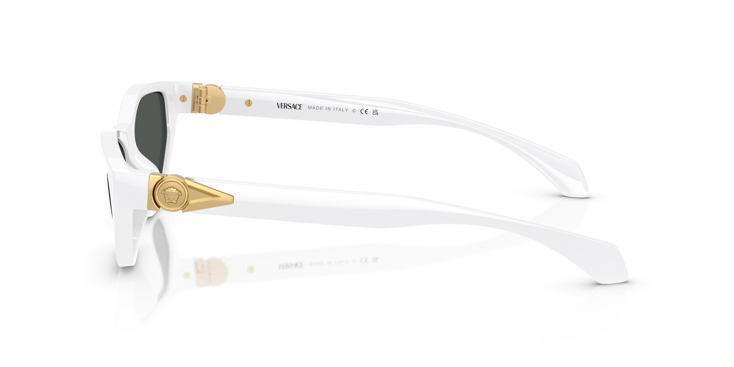 Versace VE4491U Sunglasses