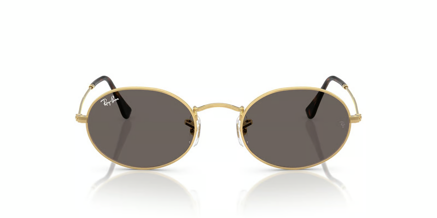 Ray-Ban RB3547N Oval Sunglasses