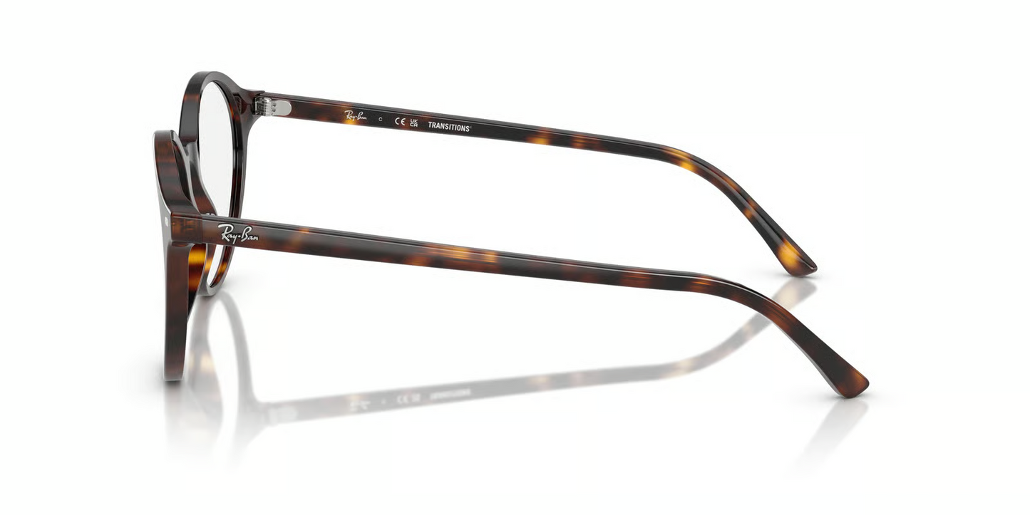 Ray-Ban RB2230F Bernard Sunglasses