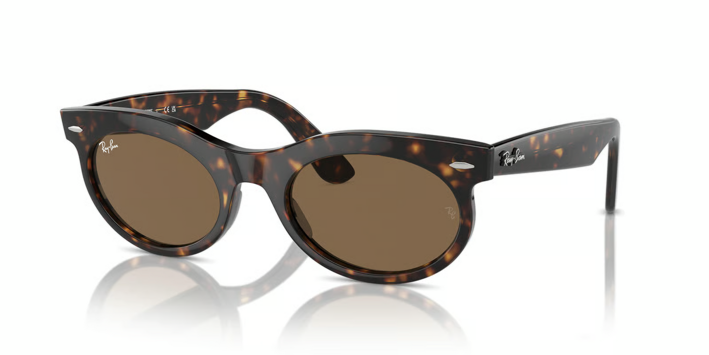 Ray-Ban RB2242F Wayfarer Oval Sunglasses