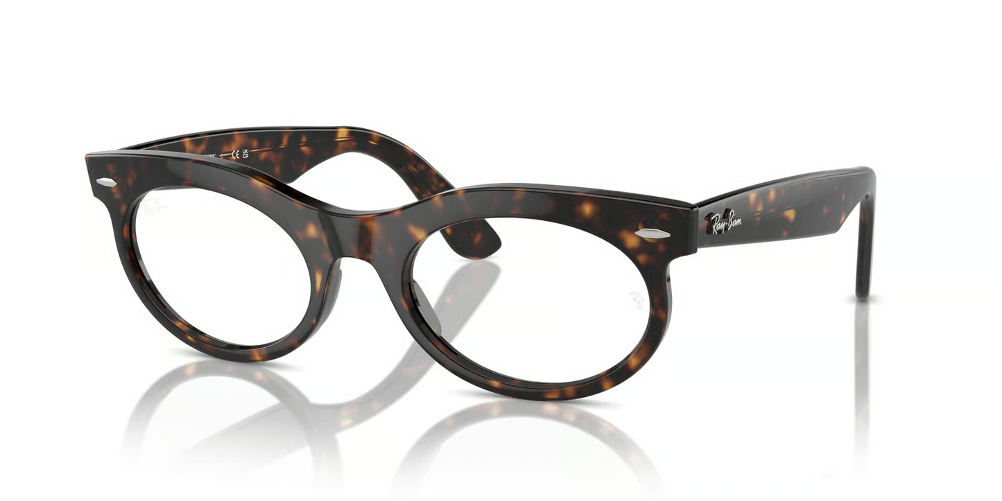 Ray-Ban RB2242F Wayfarer Oval Sunglasses