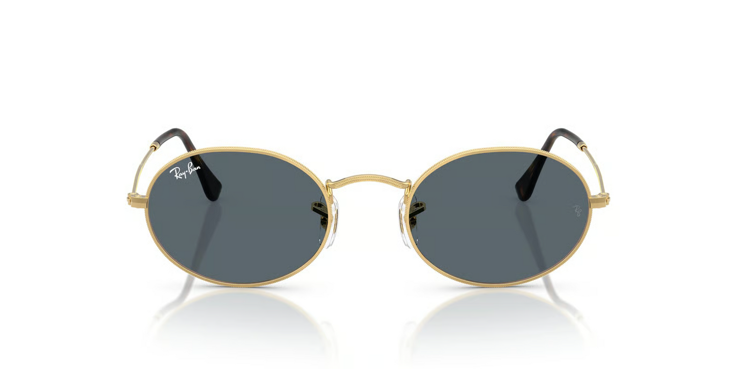 Ray-Ban RB3547N Oval Sunglasses
