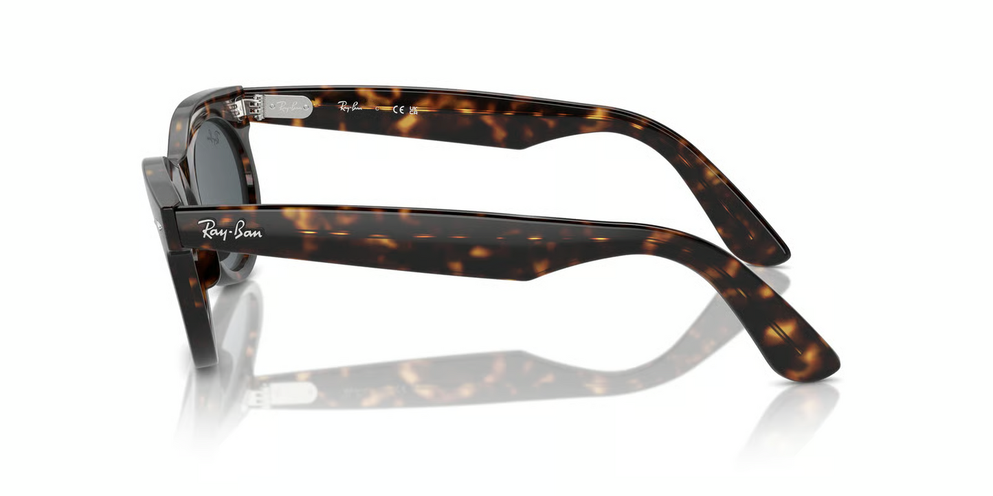 Ray-Ban RB2242F Wayfarer Oval Sunglasses