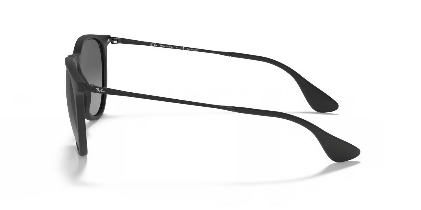 Ray-Ban RB4171F Erika Sunglasses