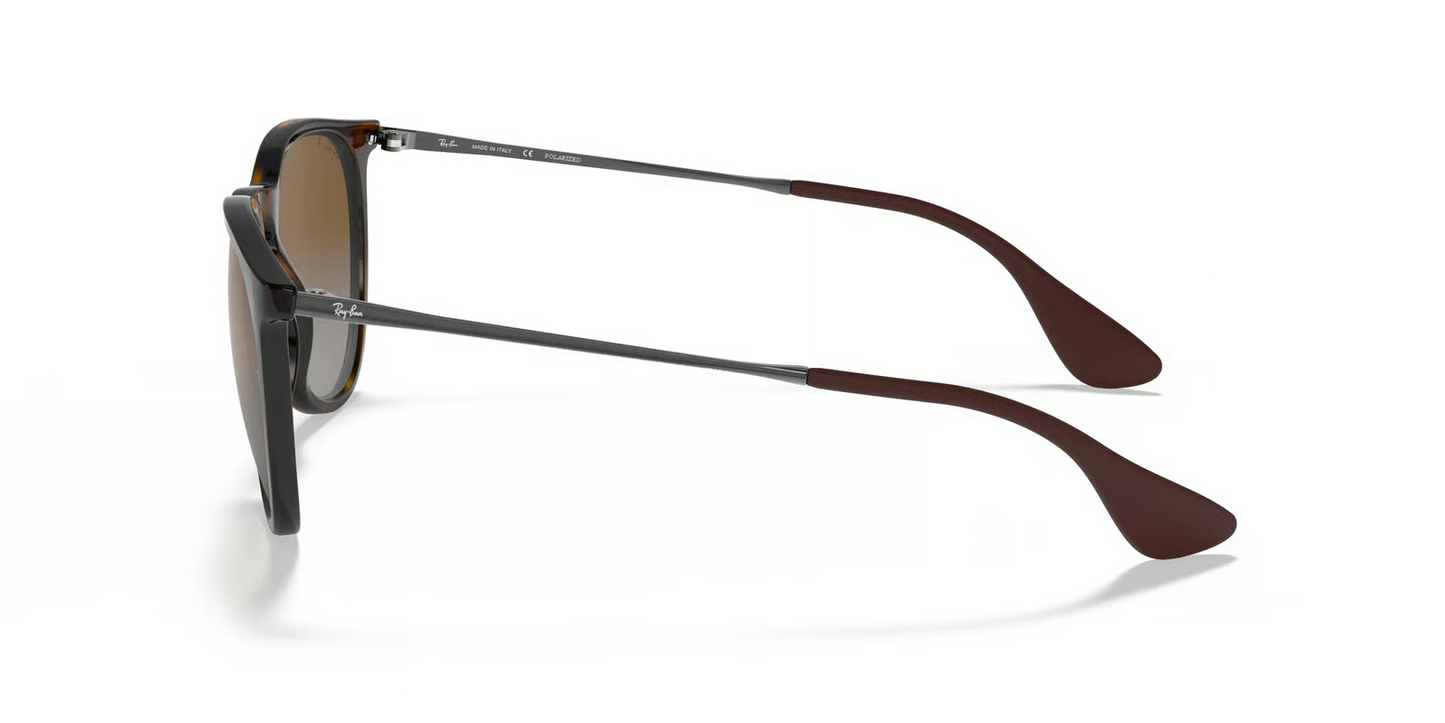 Ray-Ban RB4171F Erika Sunglasses