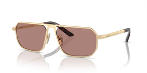 VAF10D - Matte Pale Gold with Light Brown Lenses
