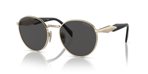 ZVN5S0 - Pale Gold with Dark Grey Lenses