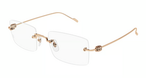 001 - Copper with Clear Lenses