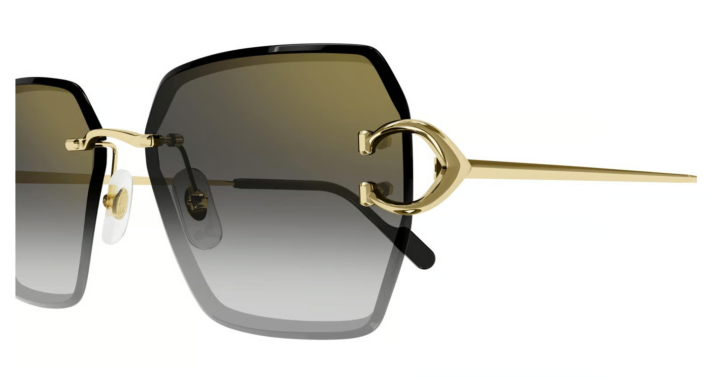 Cartier CT0466S Sunglasses