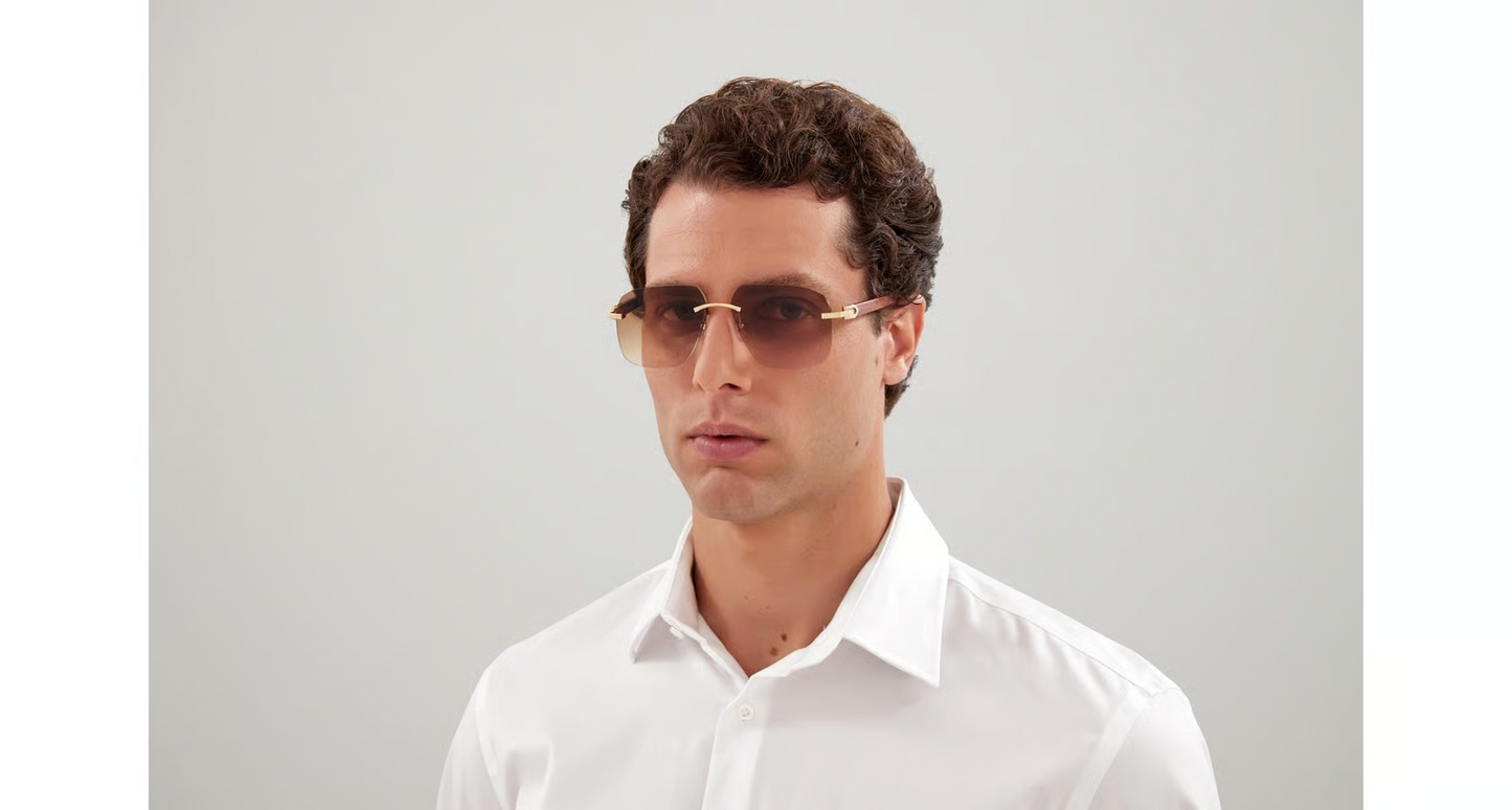 Cartier CT0041RS Sunglasses