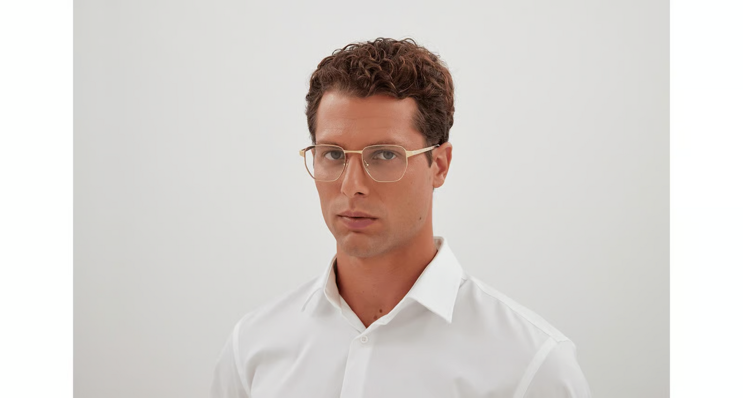 Cartier CT0480O Eyeglasses