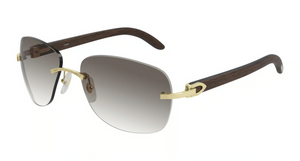 001 - Gold With Brown Lenses