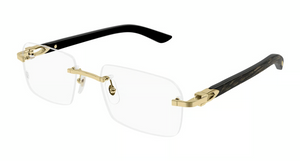 001 - Gold with Clear Lenses
