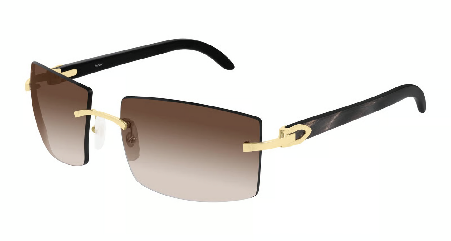 Cartier CT0021RS Sunglasses