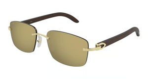 001 - Gold With Bronze Lenses