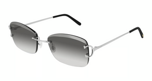 001 - Silver With Grey Lenses