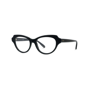 001 - Shiny Black with Clear Lenses