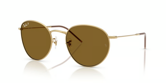 Ray-Ban RBR0103S Round Reverse Sunglasses