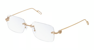 001 - Copper with Clear Lenses