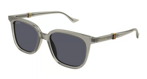 003 - Brown with Grey Lenses