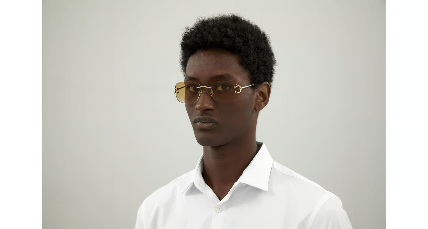 Cartier CT0330S Sunglasses