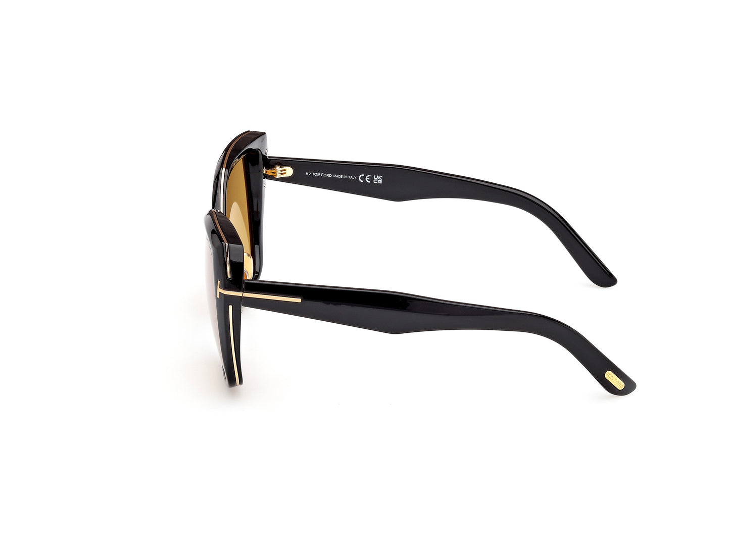 Tom Ford FT1223 Plum Sunglasses
