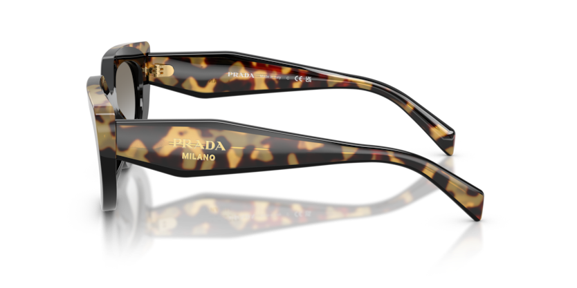 Prada PR D02S Sunglasses