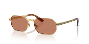 100273 - Gold with Brown Lenses
