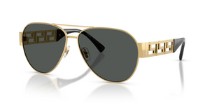 100287 - Gold with Dark Grey Lenses