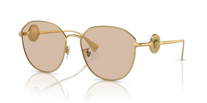 100293 - Gold with Light Brown Lenses