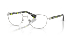 1005 - Silver with Clear Lenses