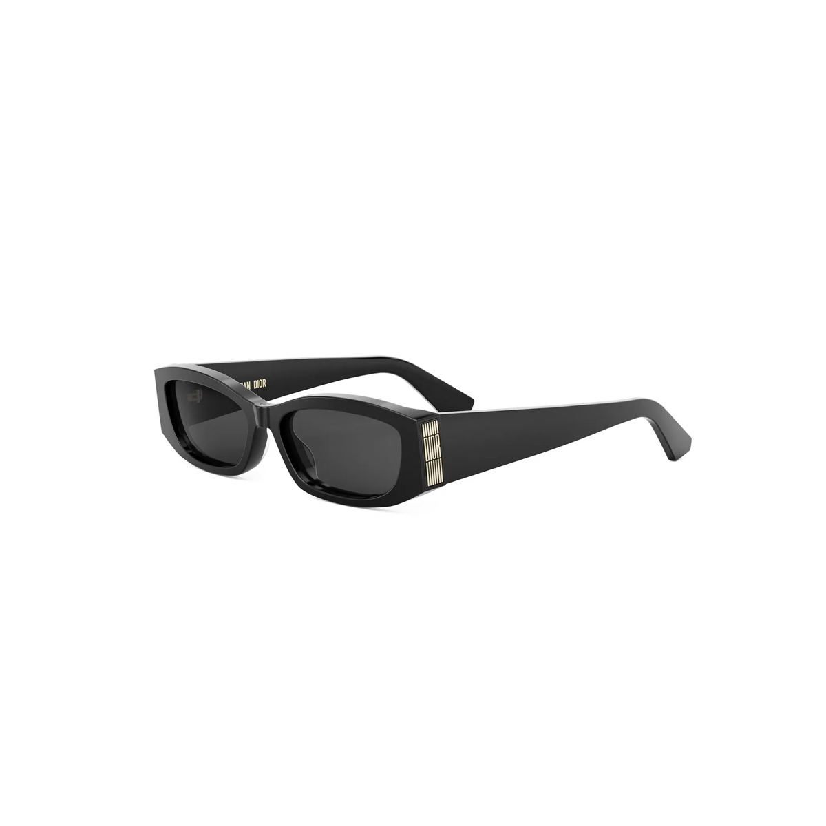 Dior Graphique S1I CD40220I Sunglasses