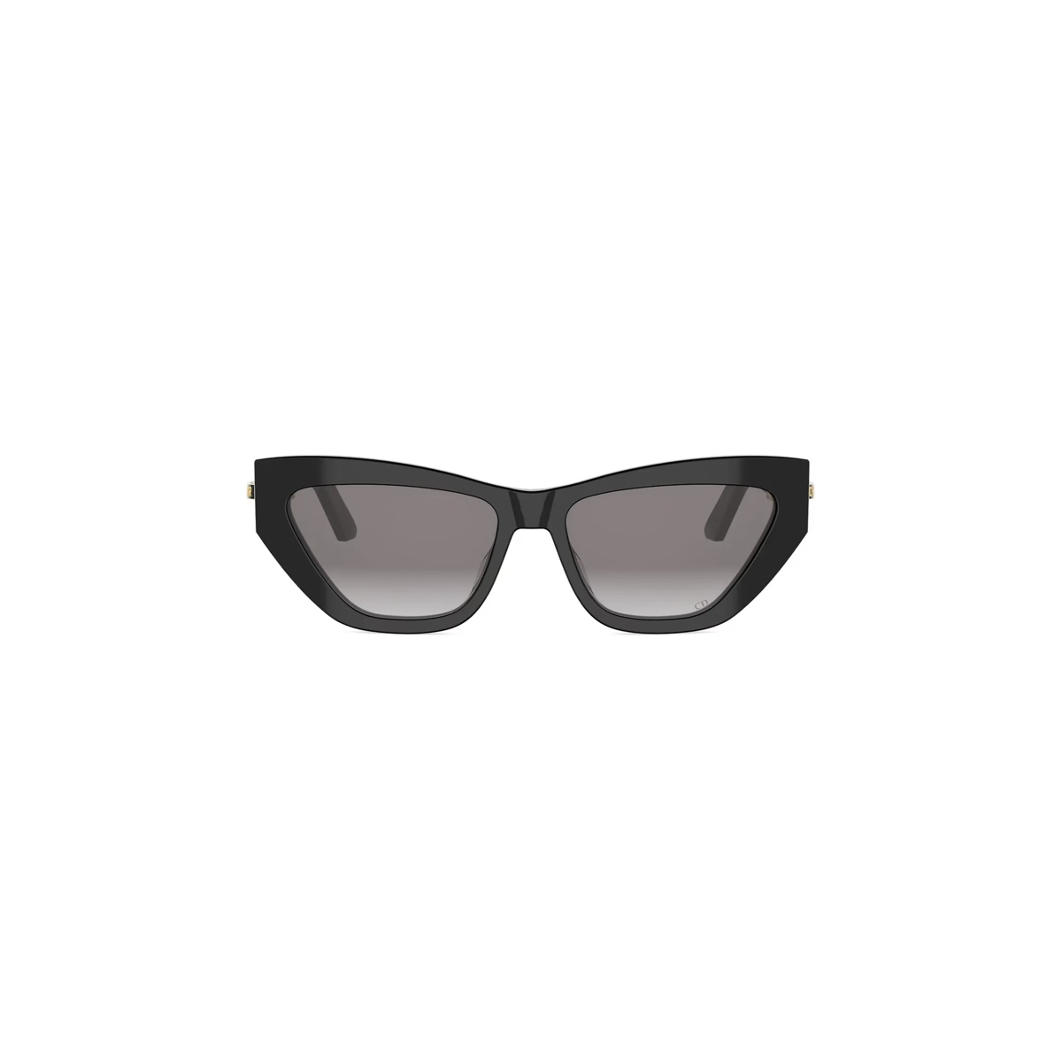 CDIOR B6I CD40229I Sunglasses