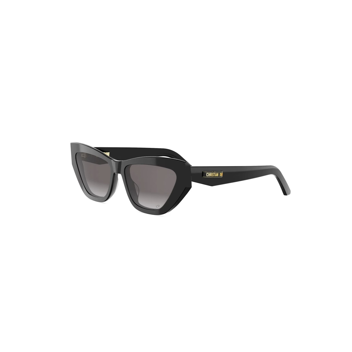 CDIOR B6I CD40229I Sunglasses