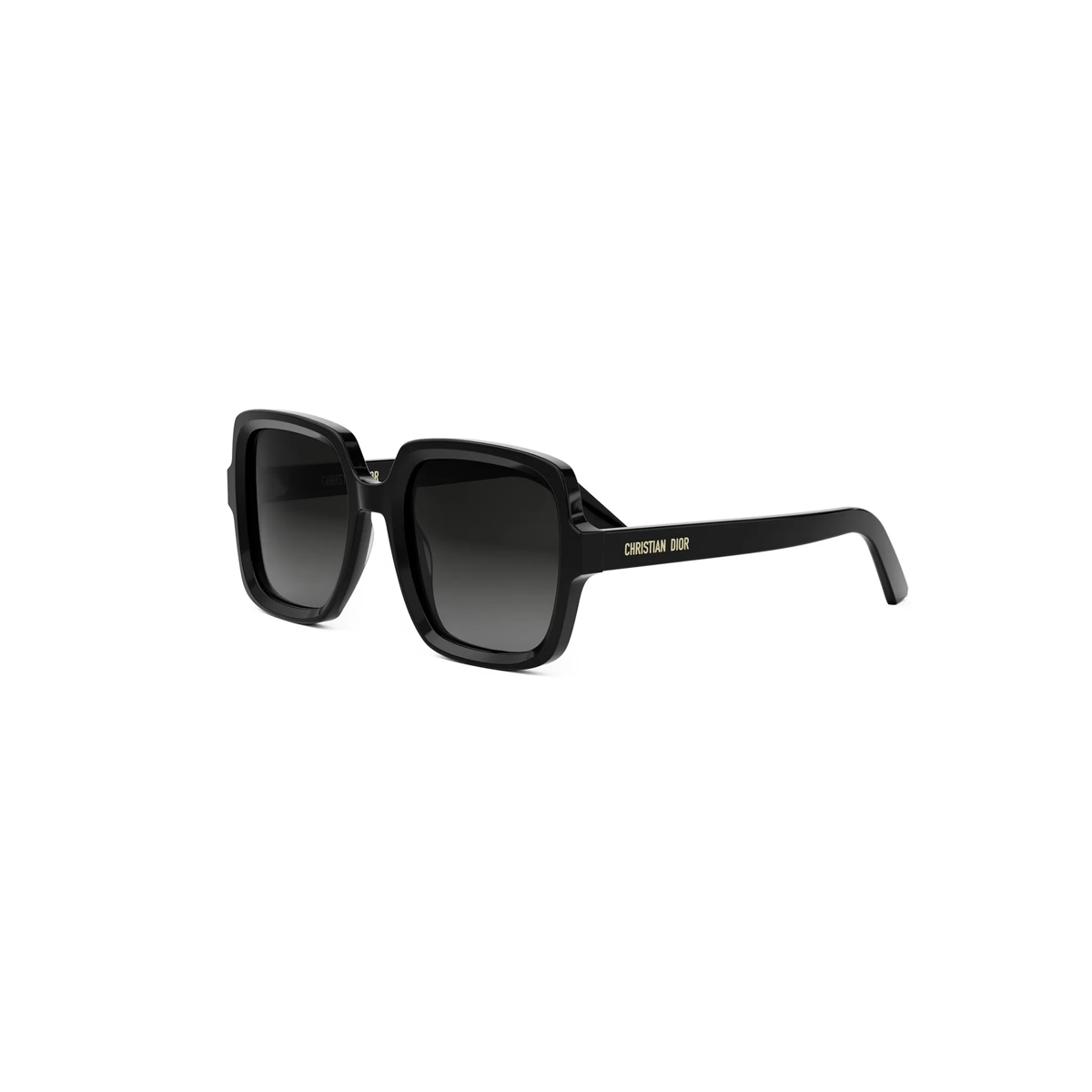 Dior DiorMidnight S4I CD40190I Sunglasses
