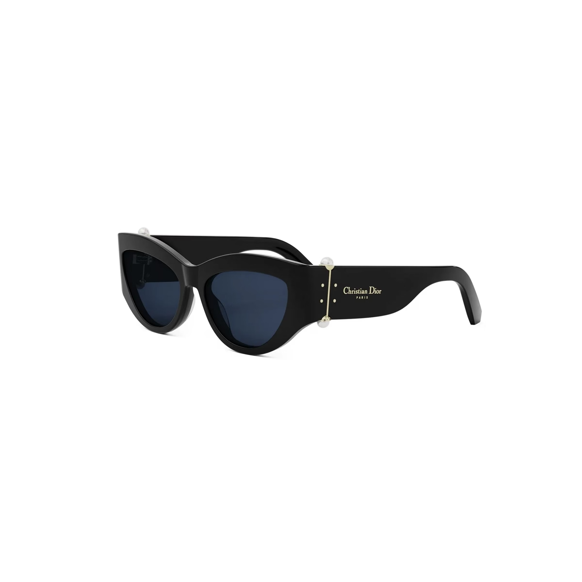 Dior DiorTribales B1I CD40200I Sunglasses
