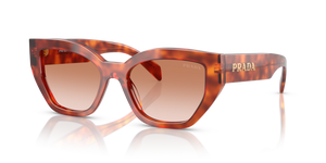 11P70E - Cognac Tortoise with Brown Gradient Lenses