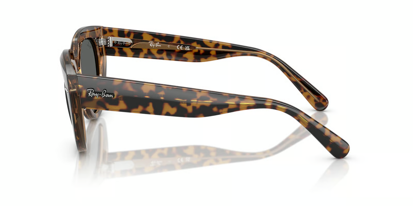 Ray-Ban RB2286 Doreen Sunglasses