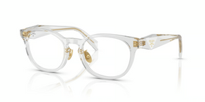 12R1O1 - Transparent Grey with Clear Lenses