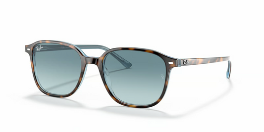 Ray-Ban RB2193 Leonard Sunglasses
