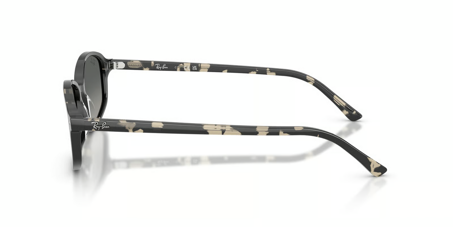Ray-Ban RB2232F Sunglasses