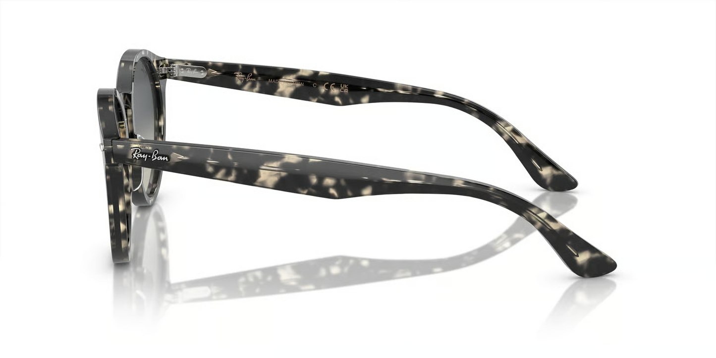 Ray-Ban RB7680S Larry Sunglasses