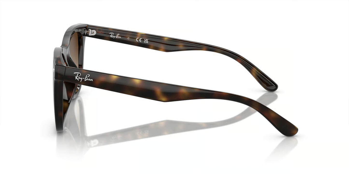 Ray-Ban RB4420 Sunglasses
