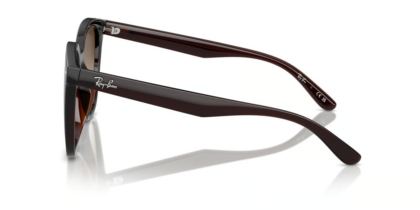 Ray-Ban RB4423D Sunglasses