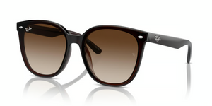 714/13 - Transparent Brown with Brown Lenses